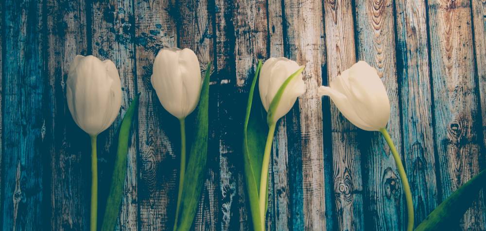 Matrimonio a tema tulipani